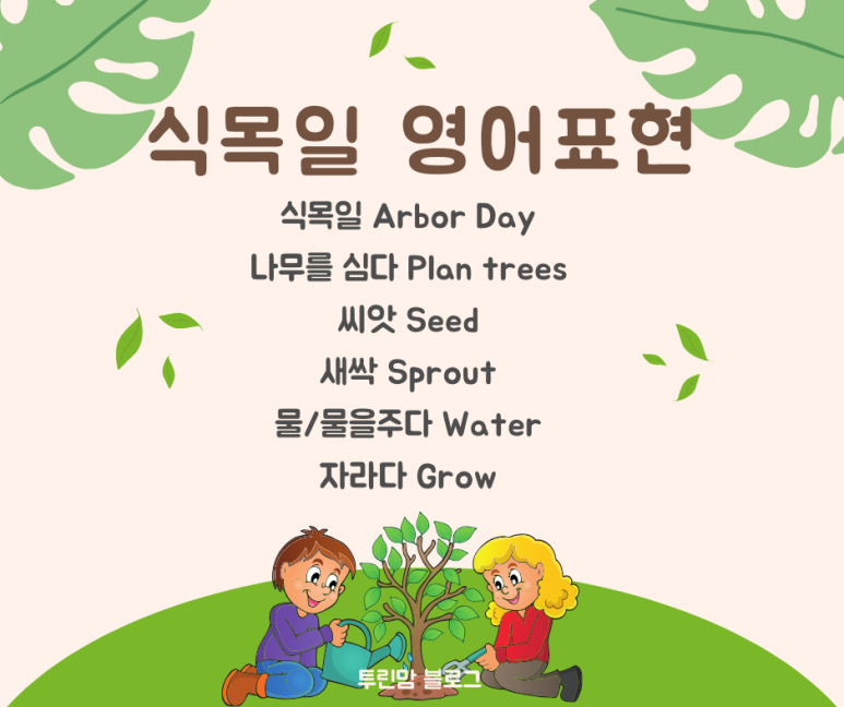 자라다plant 이미지