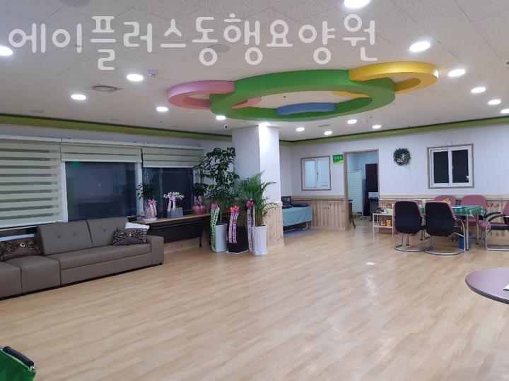 에이플러스진(A+진) 이미지