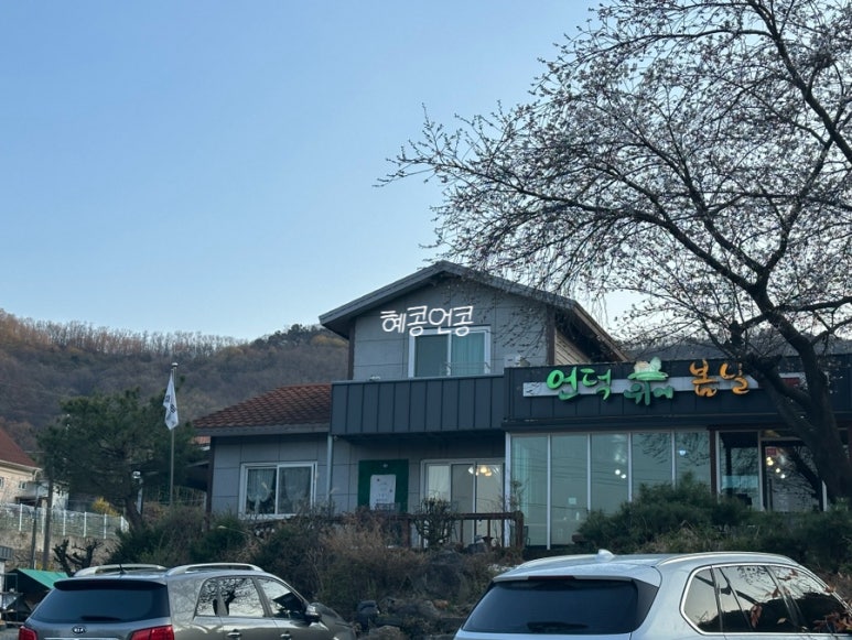 언덕위에봄날 이미지