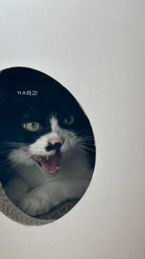 손님구함 이미지