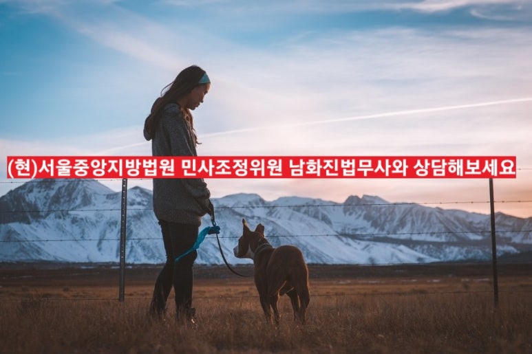진법무사사무소 이미지