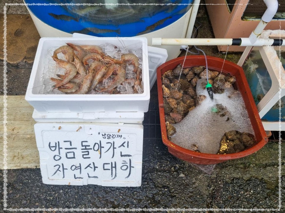 온누리수산 이미지