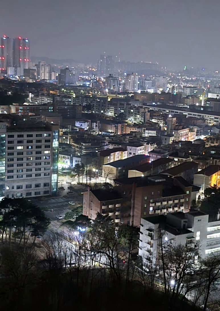 궁전노래사랑 이미지