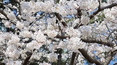 (주)청풍 이미지