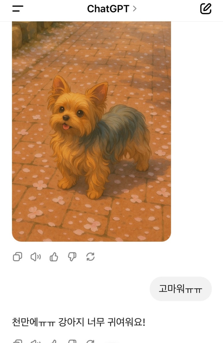 야키오진격 이미지