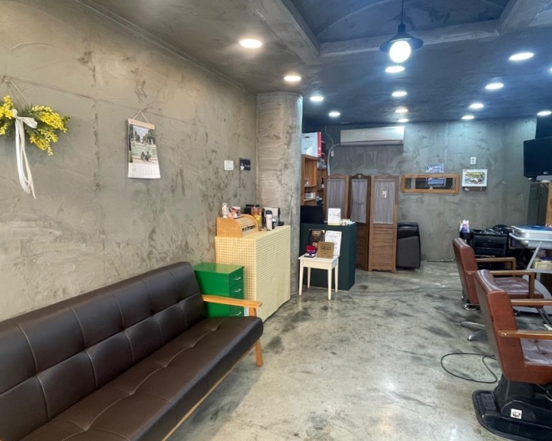 살롱 드 내 : 처음부터 끝까지 이미지