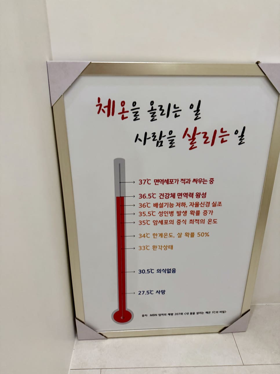아르티지스파 이미지