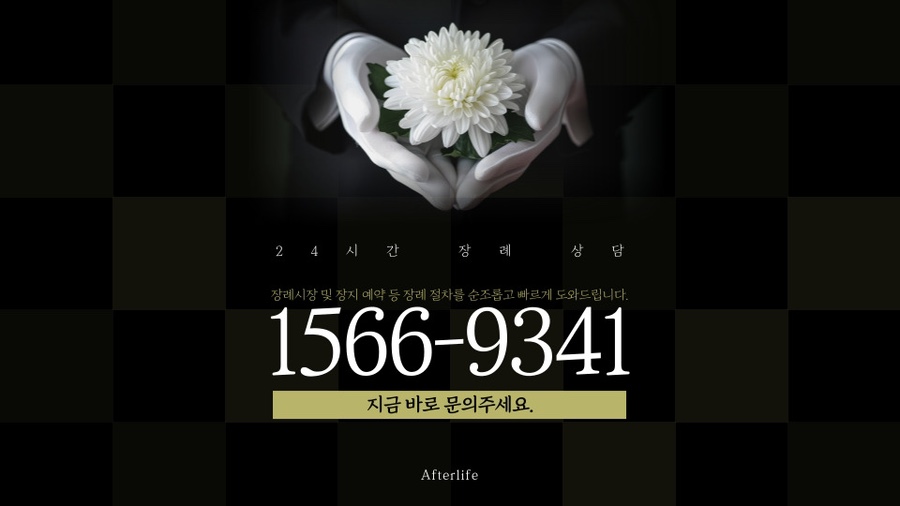 춘천상조 이미지