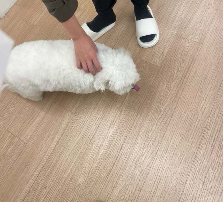 모드니25 이미지