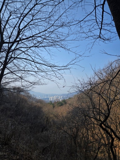 천마산농수산물 이미지