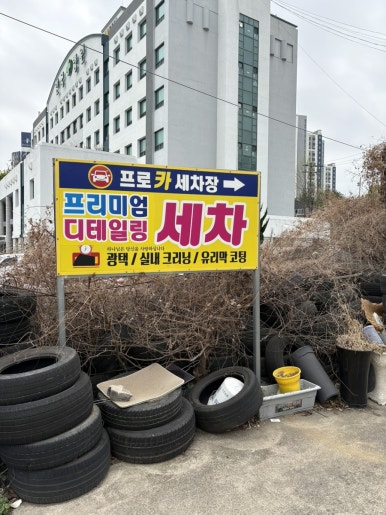 프로카모터스 이미지