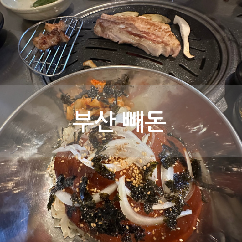 빼돈 이미지