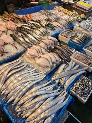 천마산농수산물 이미지