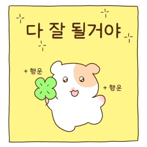 엠크루짐 이미지
