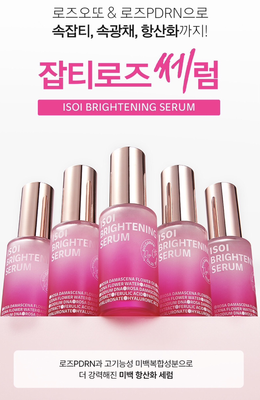 뉴로즈 이미지