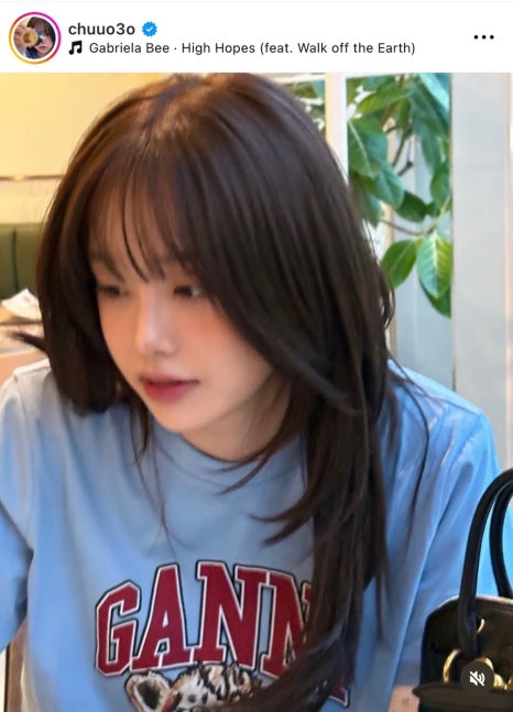 츄헤어 이미지