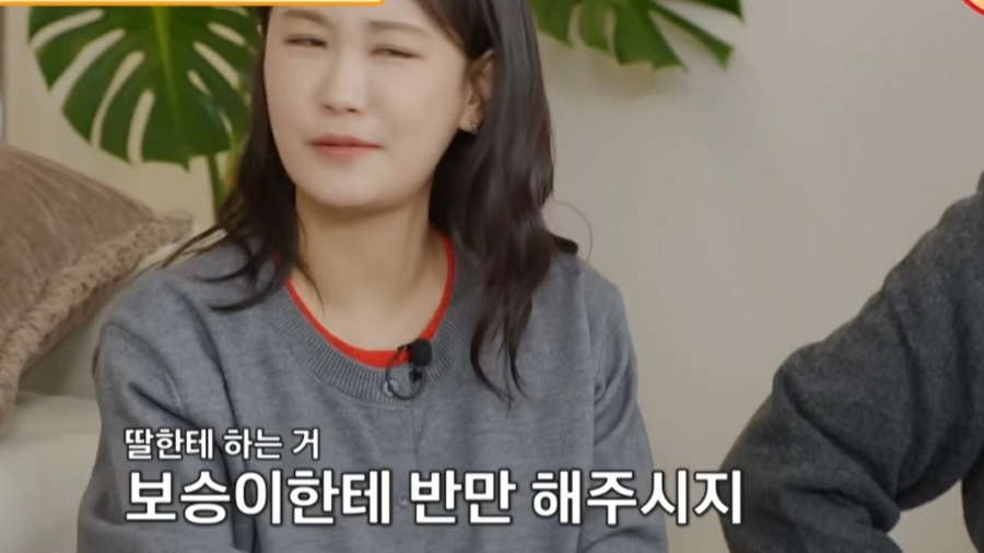 젬뱅이 이미지