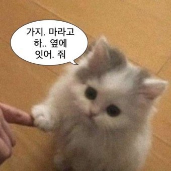 영원애드 이미지