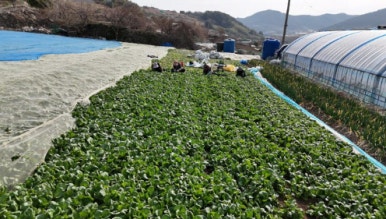 맛공장 이미지