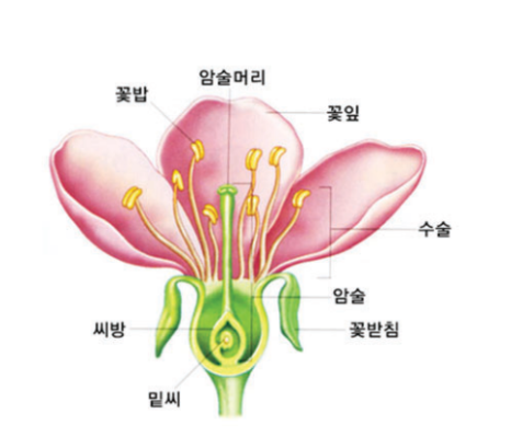 풍농원예 이미지