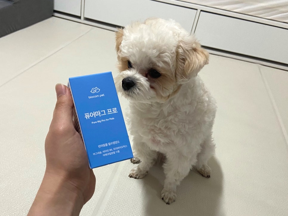 퓨어종합관리 이미지