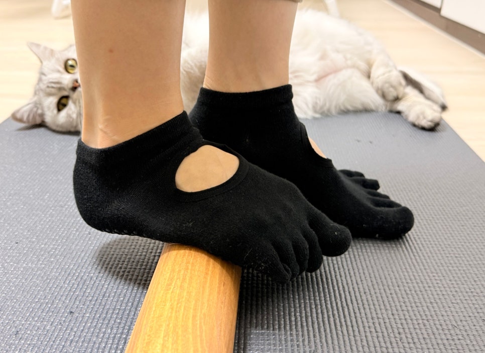 닥터리의 백앤넥 이미지