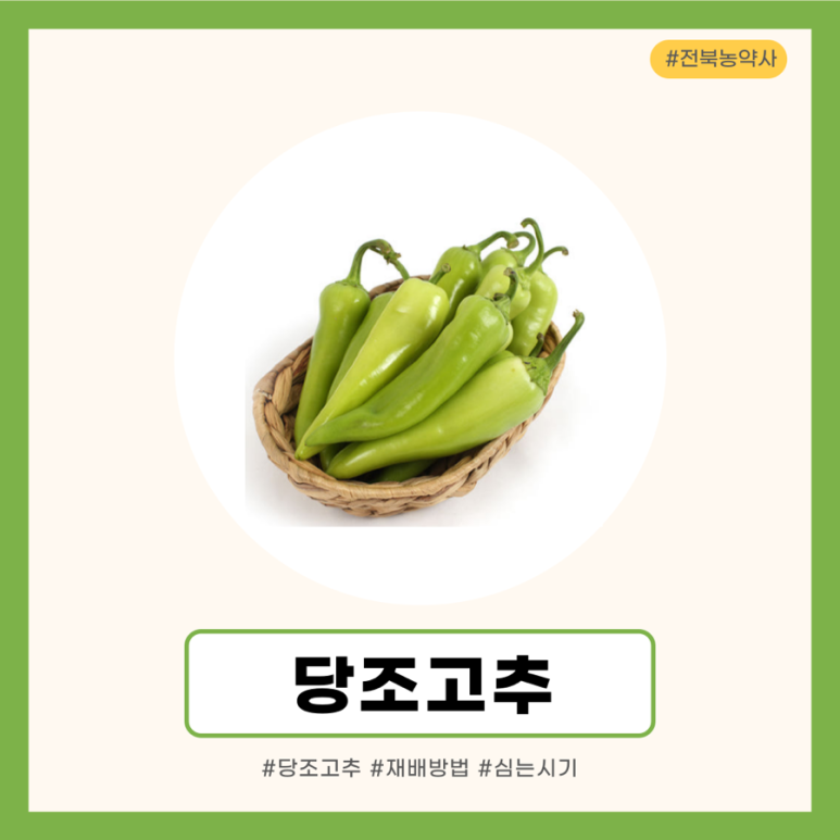 한국농약사 이미지