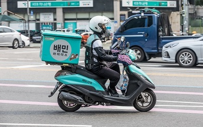 하지몰 이미지