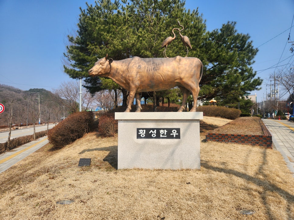 횡성한우 이미지