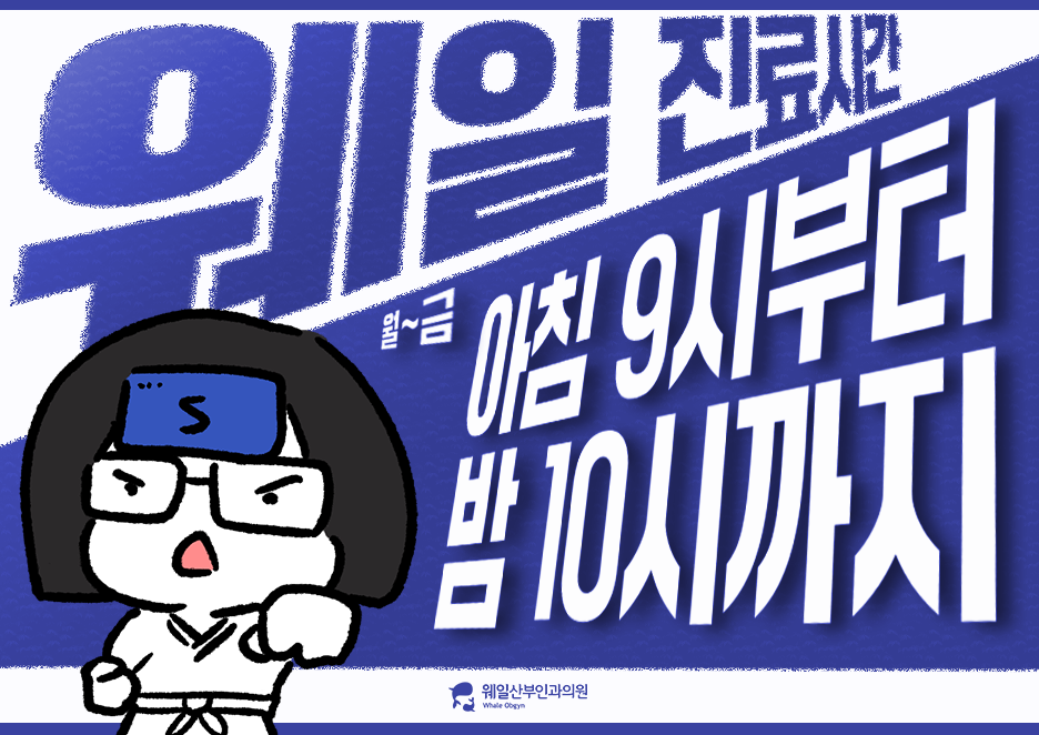 제이웨일 이미지