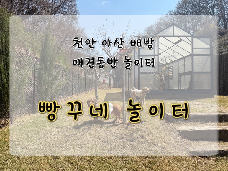 빵꾸네놀이터 이미지