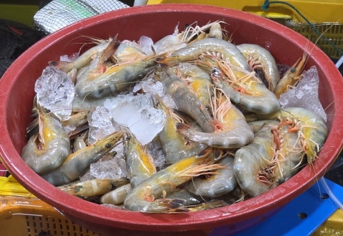 고흥녹동회타운 이미지