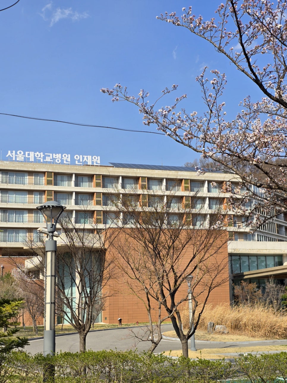 서울대학교병원인재원 이미지