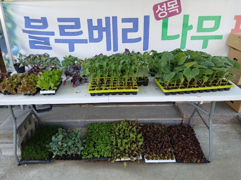 봉계농약사 이미지