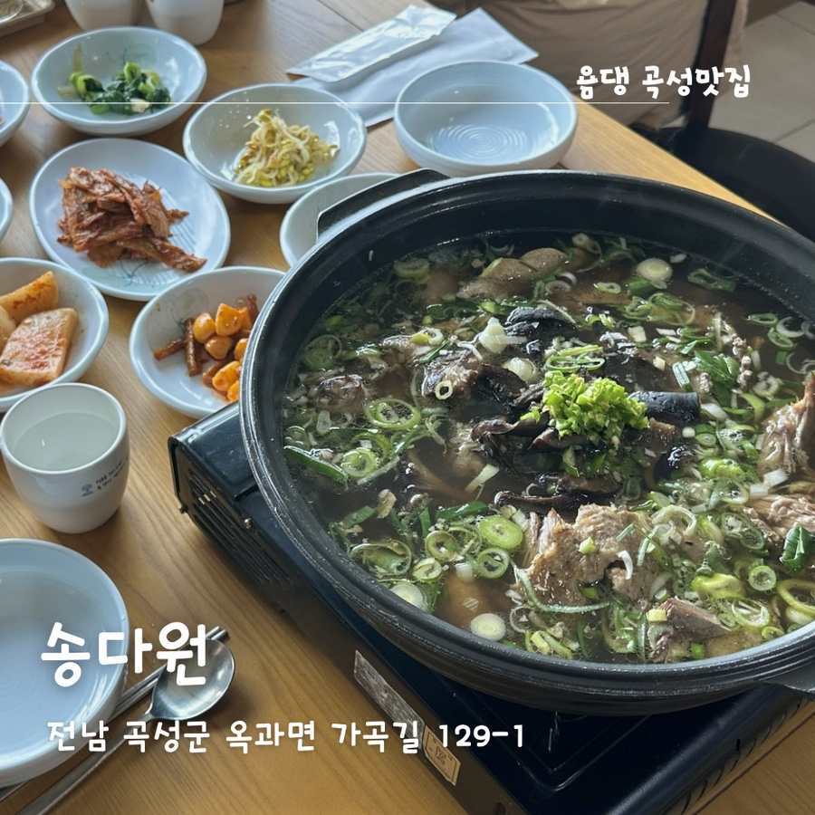 송다원 이미지