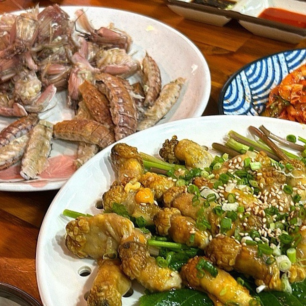 머구리오빠야 이미지