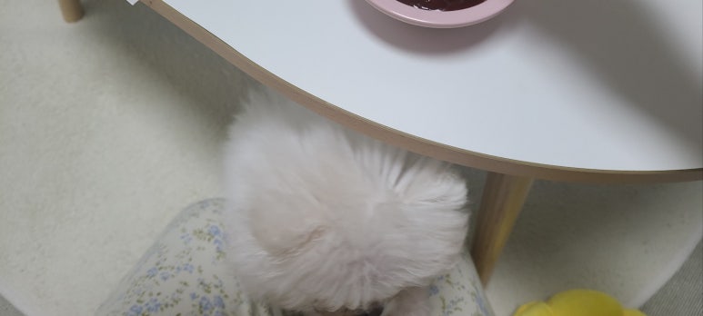 굽내치킨마산양덕 이미지
