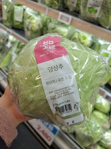 올레향 이미지