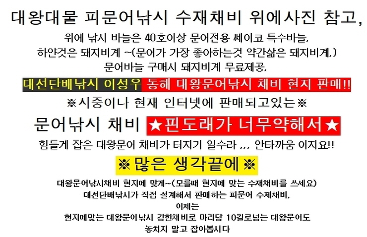 연낚시 이미지