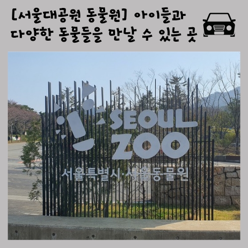 코뿔소식당 이미지