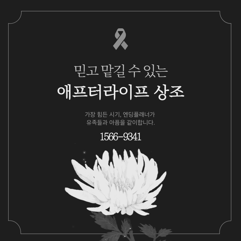 춘천상조 이미지