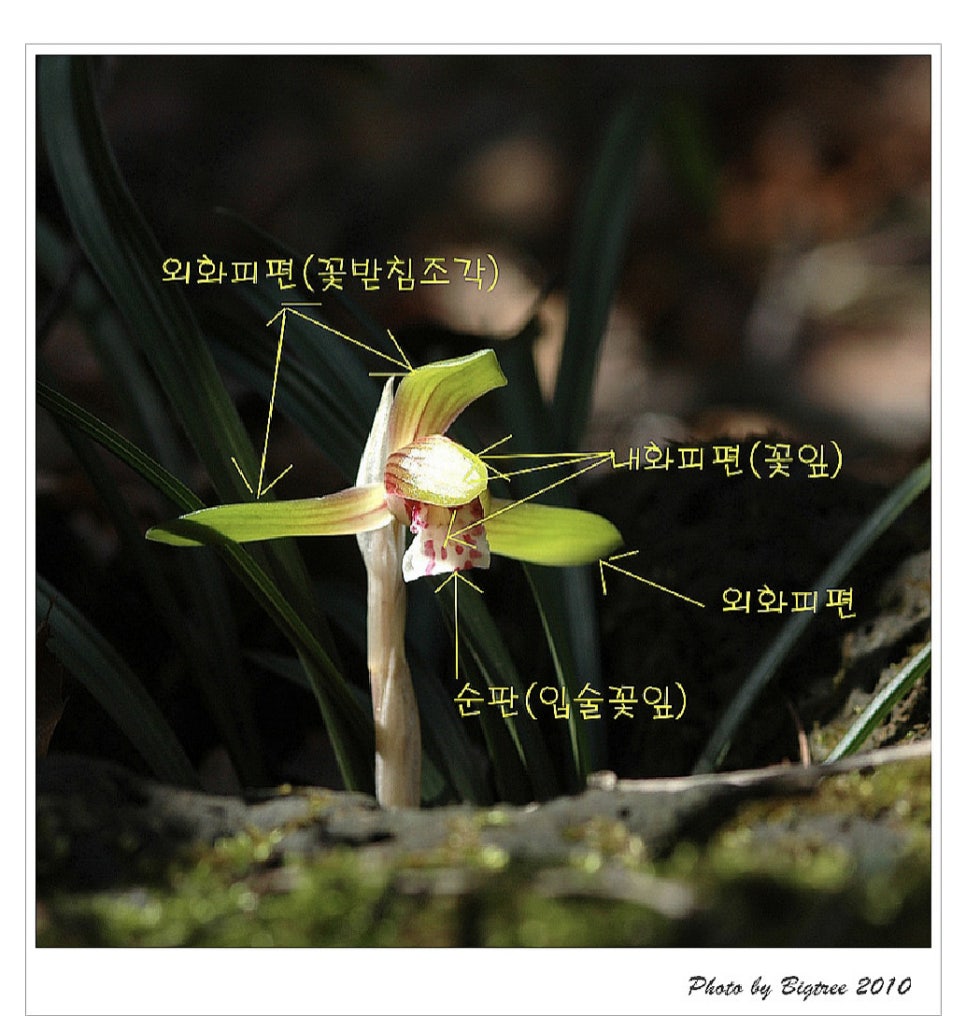 조각꽃피다 이미지