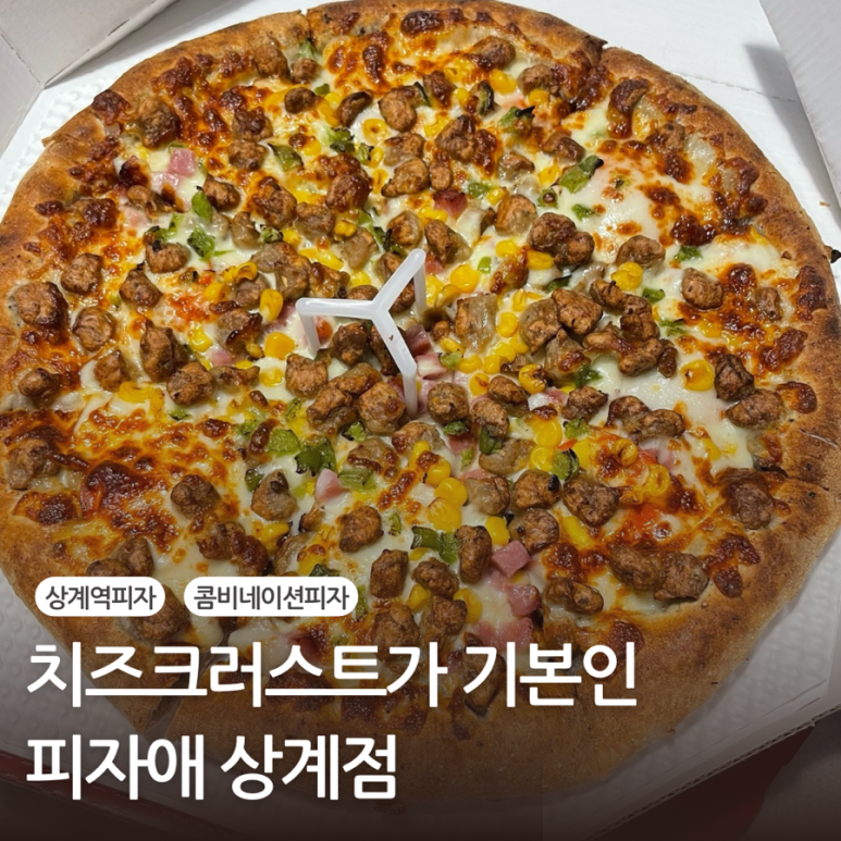 피자애 이미지