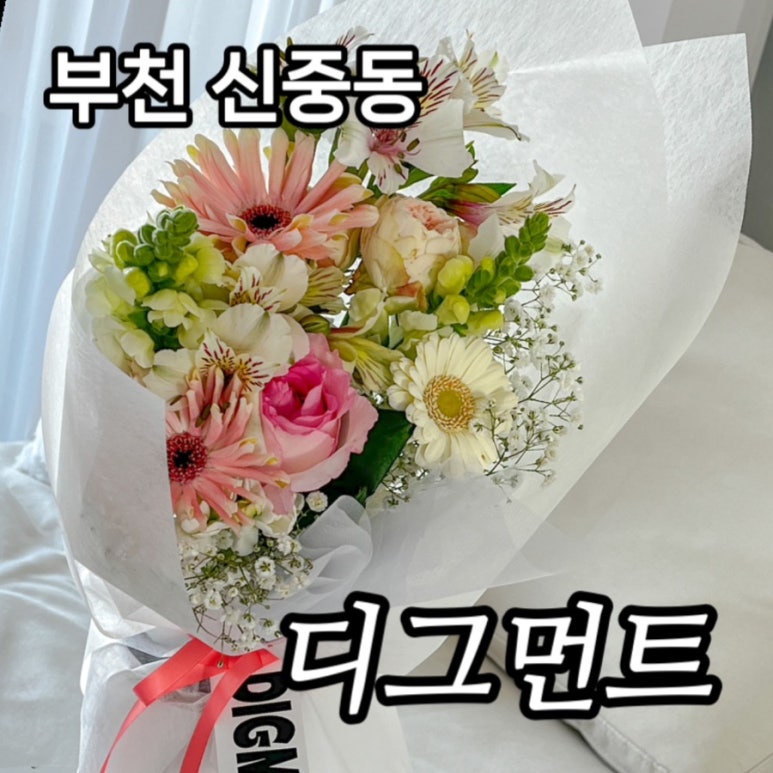 디그먼트 이미지