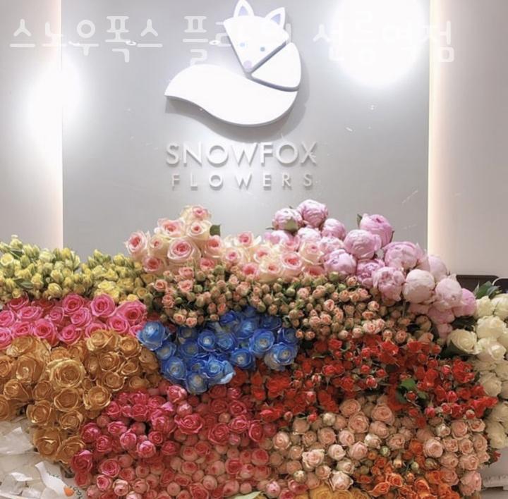 스노우폭스플라워강남 이미지