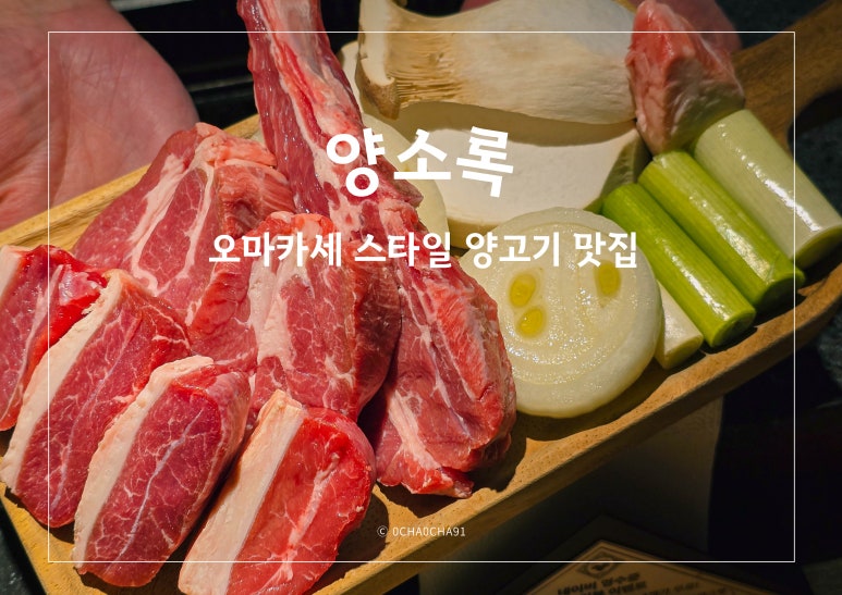양소록 이미지