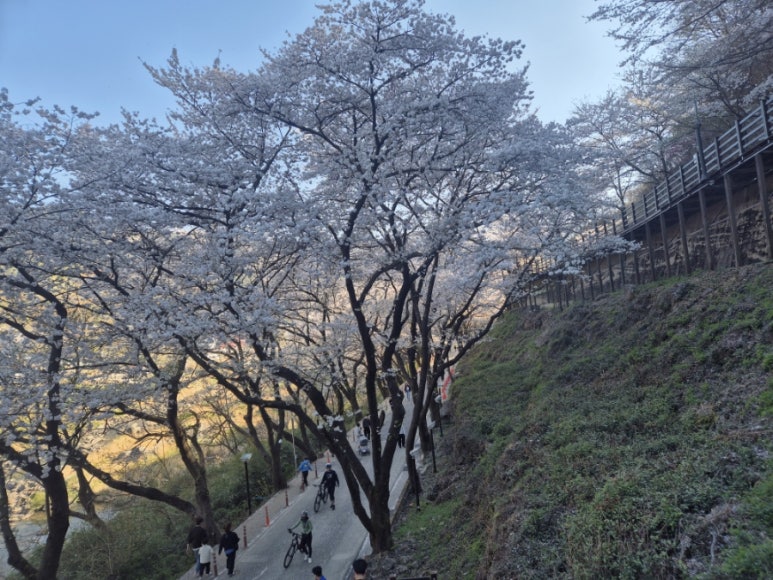 콘이코니 이미지