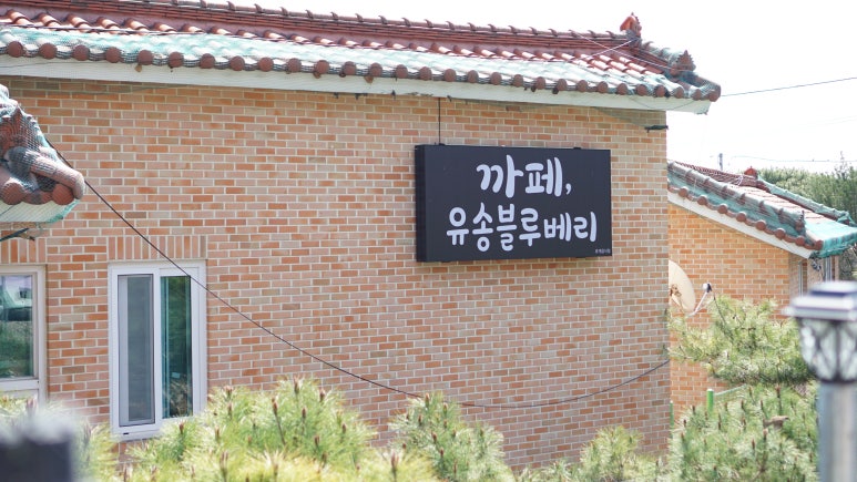 유송블루베리농장 이미지