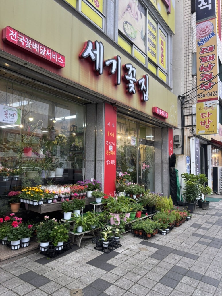 세기꽃집 이미지