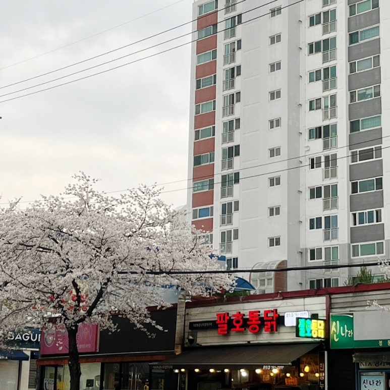 팔호통닭 호탄점 이미지